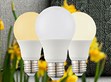 PowerNex｜MA 60 Series: 10W LED Bulb                                                                                                                   
